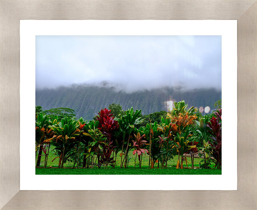 Hawaii Fog Picture Frame print