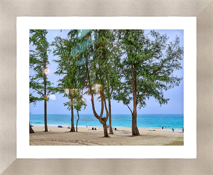 Hawaii Trees 2 Picture Frame print