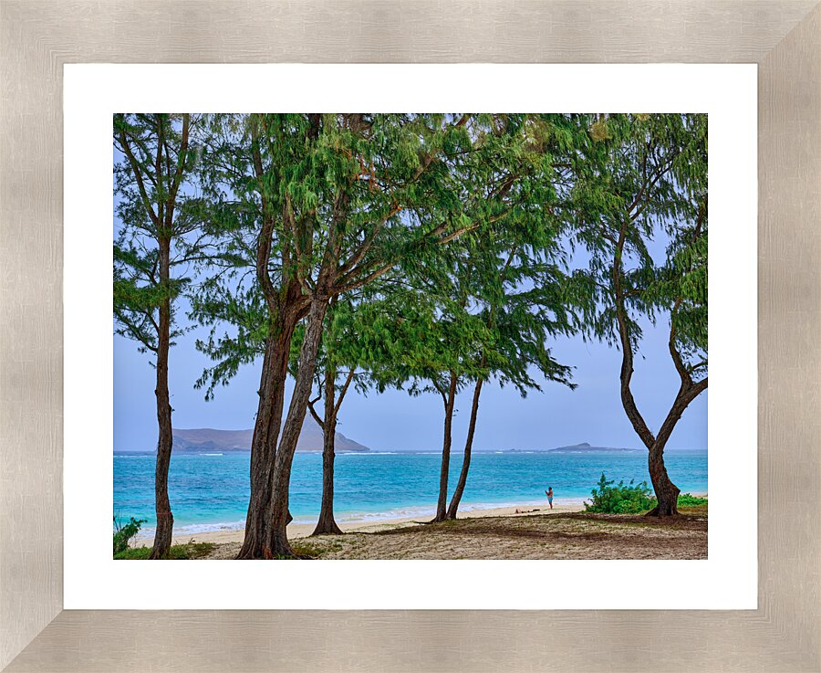 Hawaii Trees 4 Picture Frame print