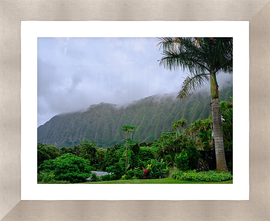 Hawaii Fog 3 Picture Frame print