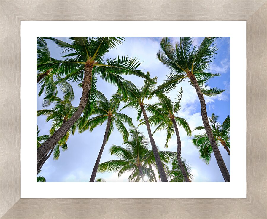 Hawaii Palms Sky Picture Frame print