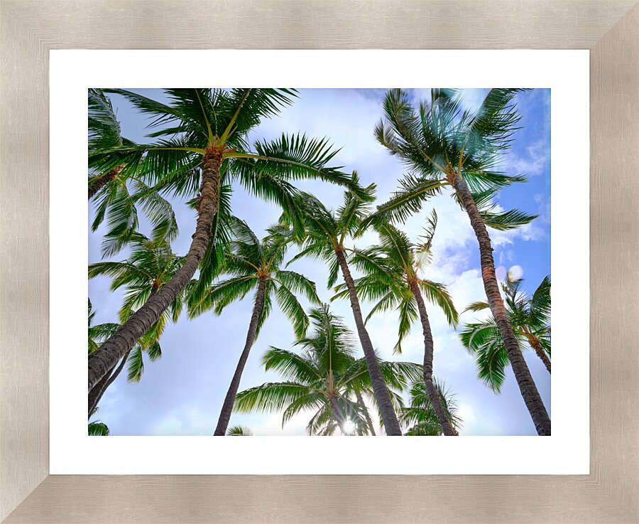 Hawaii Palms Sky Picture Frame print