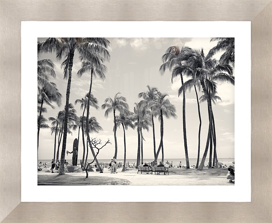 Hawaii Palms BW II Picture Frame print
