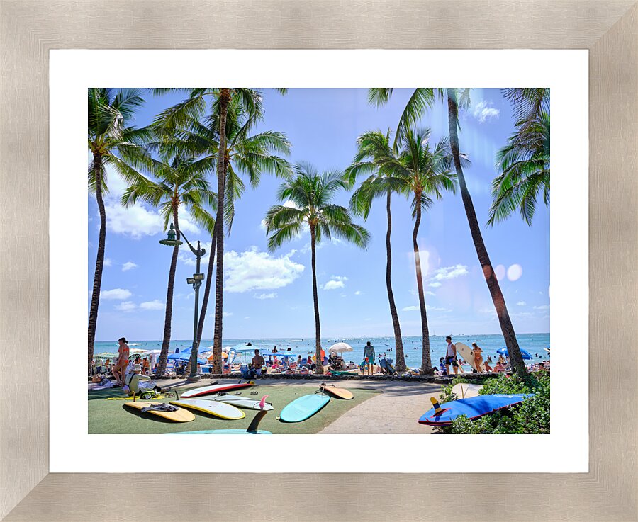 Hawaii Palms Surfboards Picture Frame print