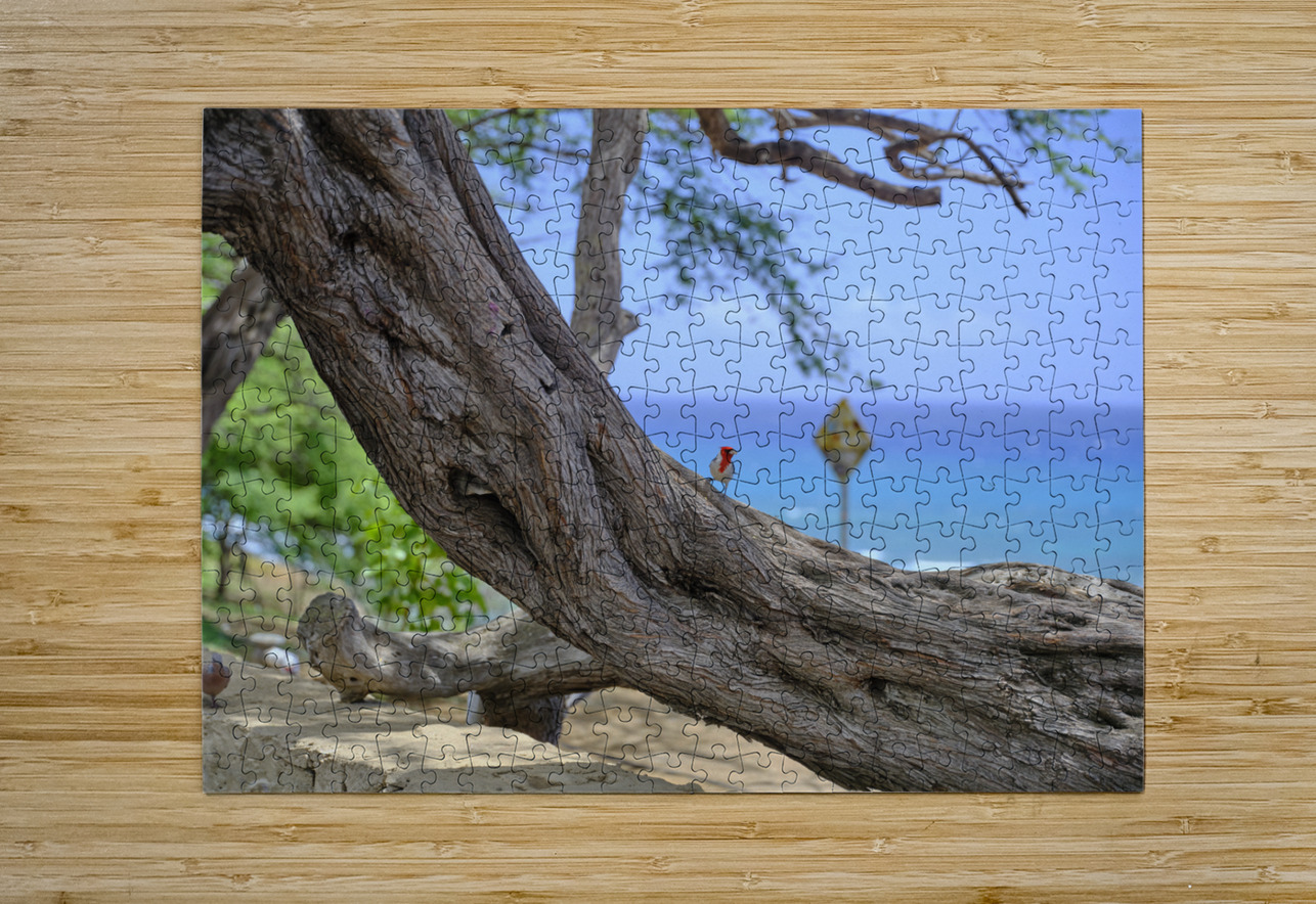 Hawaii Cardinal IV Kamara Studio   Ultra High Resolution Mural Prints Puzzle printing