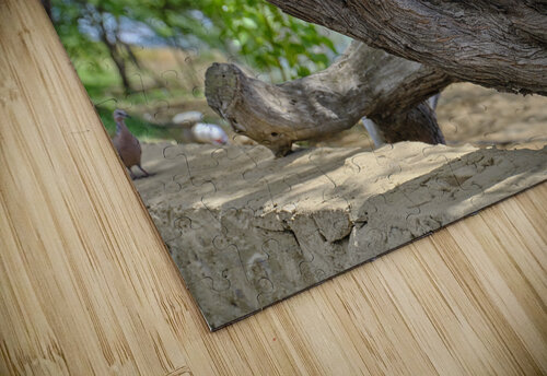 Hawaii Cardinal II Kamara Studio   Ultra High Resolution Mural Prints puzzle