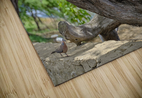 Hawaii Cardinal III Kamara Studio   Ultra High Resolution Mural Prints puzzle