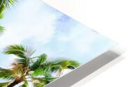 Hawaii Palms Beach HD Metal print