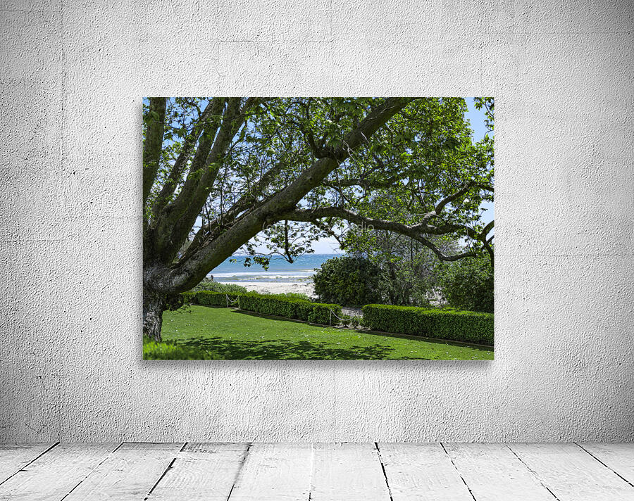 Beach Lawn Wall Preview