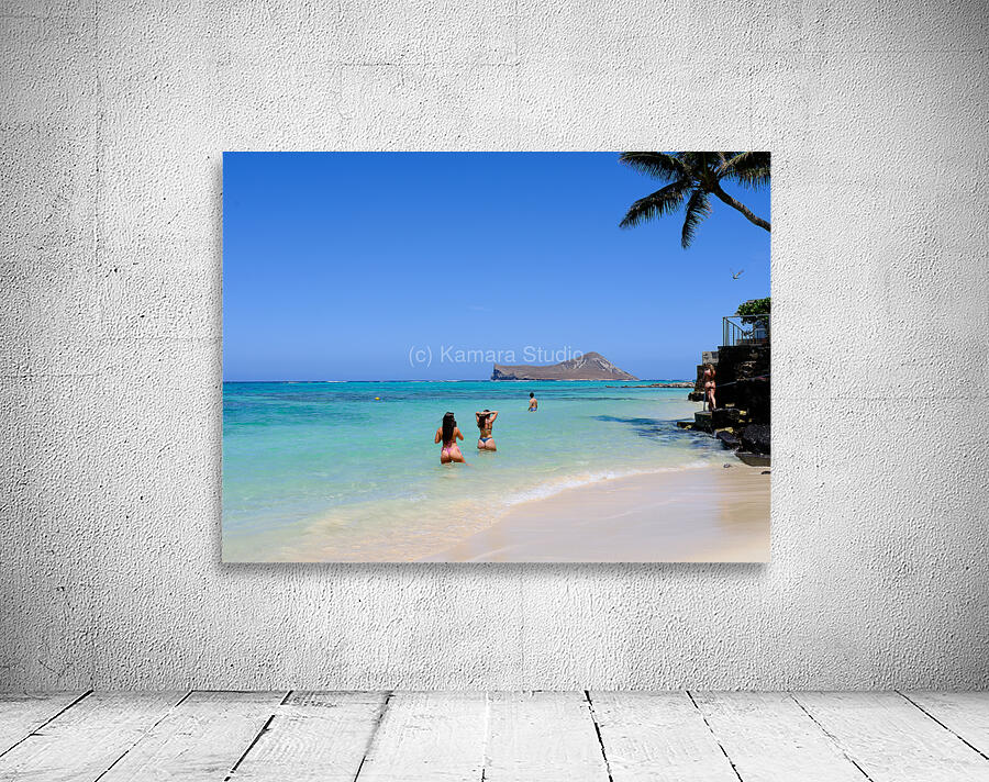 Hawaii Girls Wall Preview