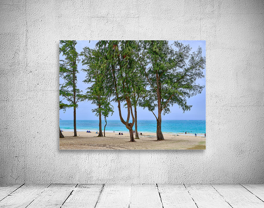 Hawaii Trees 2 Wall Preview
