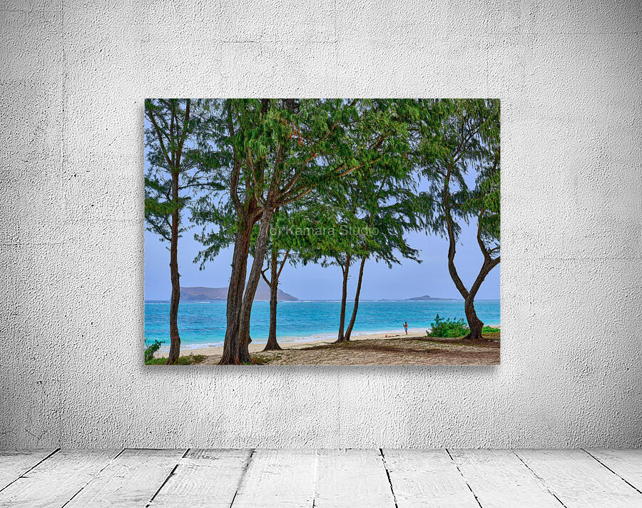 Hawaii Trees 4 Wall Preview
