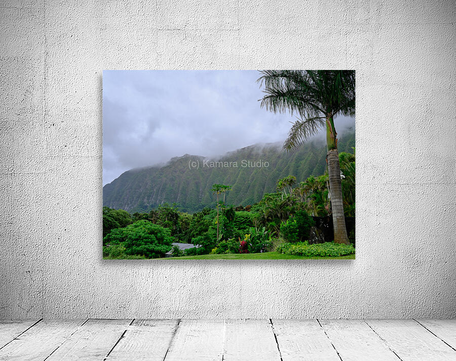 Hawaii Fog 3 Wall Preview