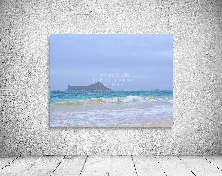 Hawaii Sand Beach 2 Wall Preview