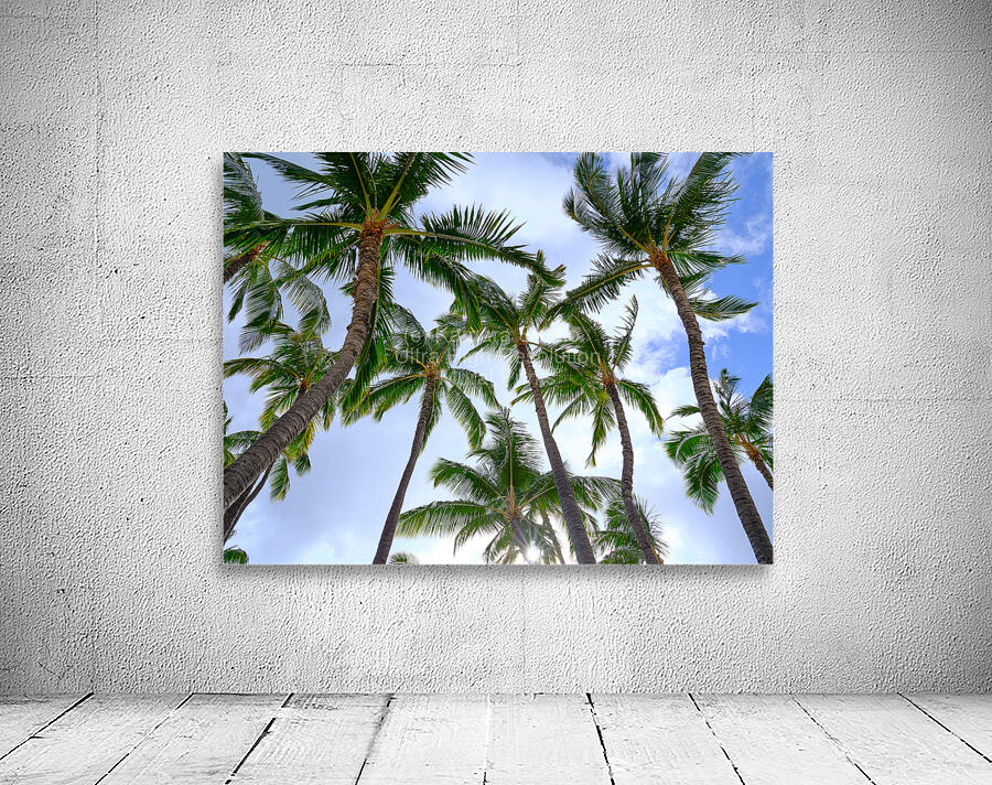 Hawaii Palms Sky Wall Preview
