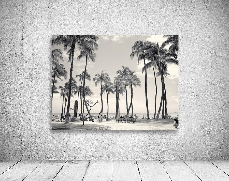 Hawaii Palms BW II Wall Preview