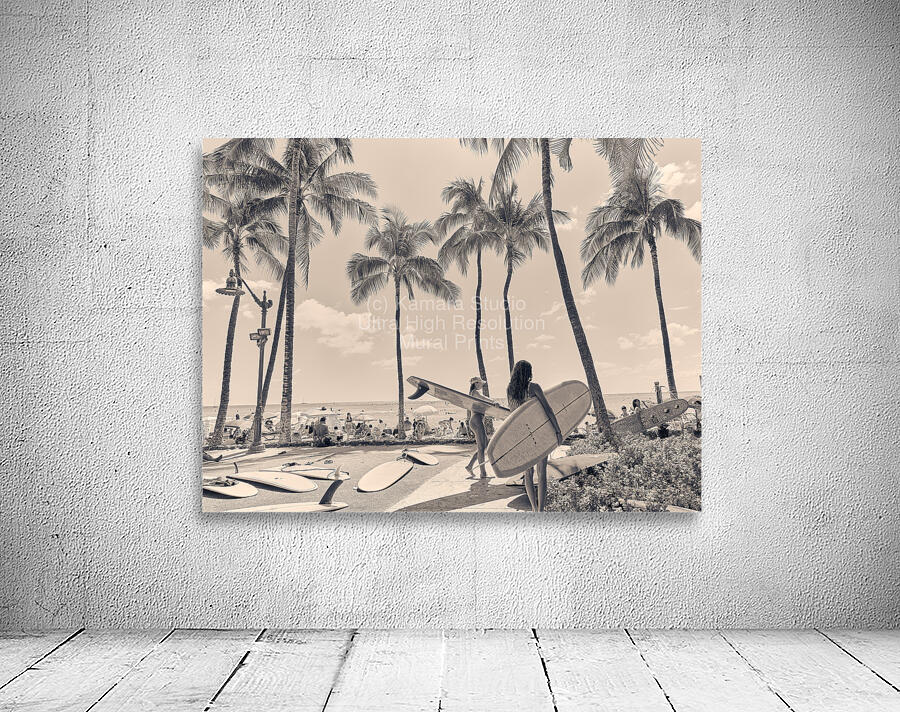 Hawaii Surfing II Wall Preview