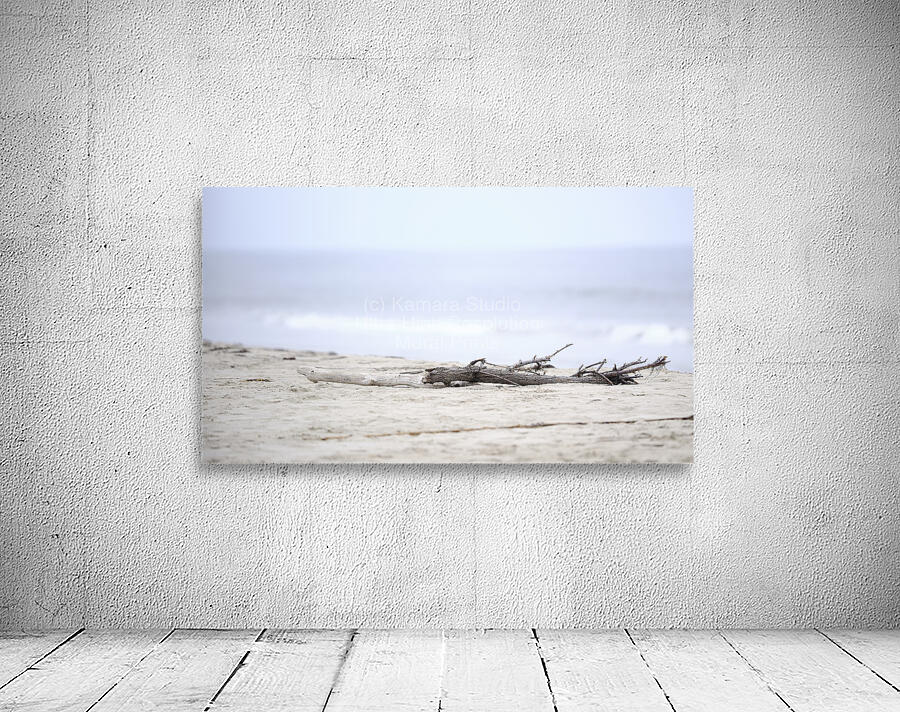 Beach Wood Wall Preview