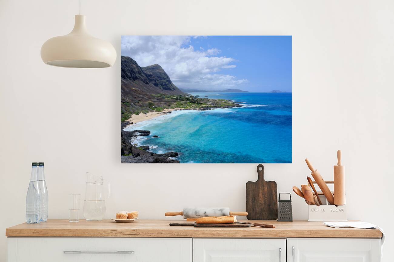 Hawaii Beach Reproduction