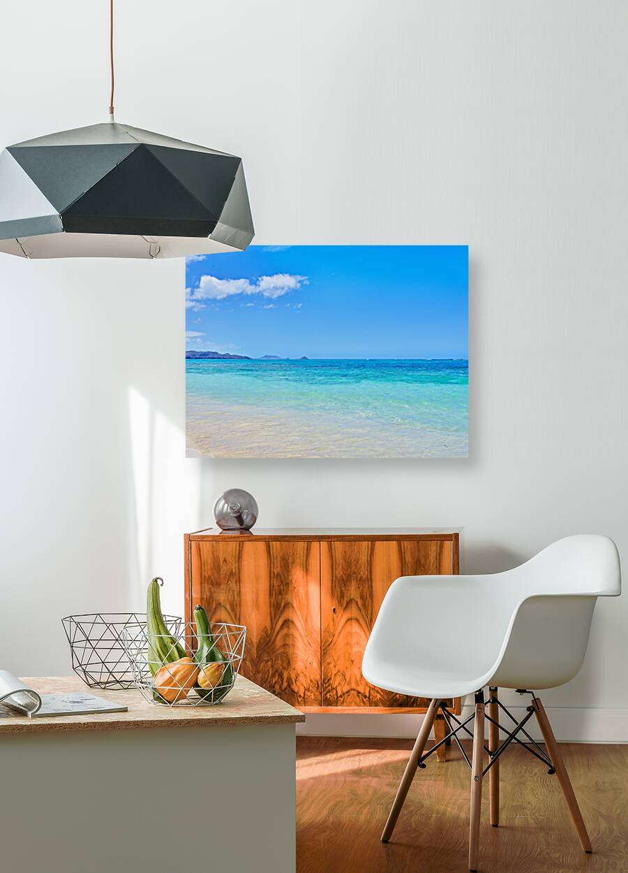 Hawaii Sand Reproduction