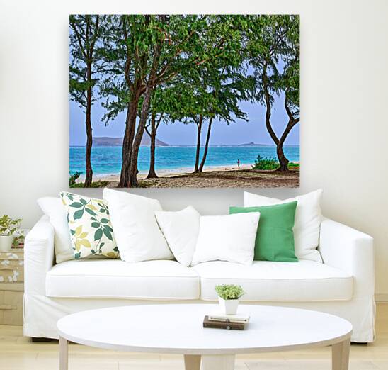 Hawaii Trees 4 Reproduction