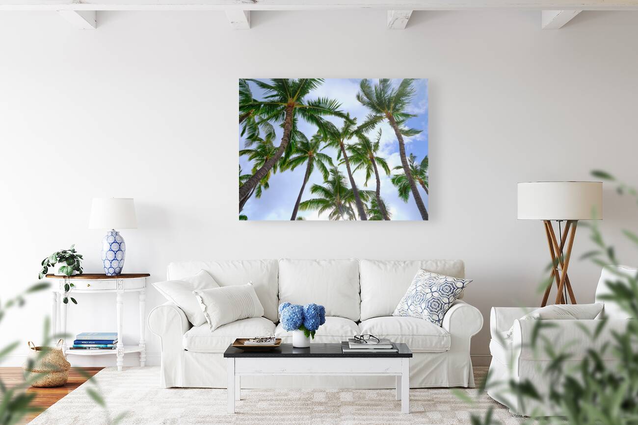 Hawaii Palms Sky Reproduction