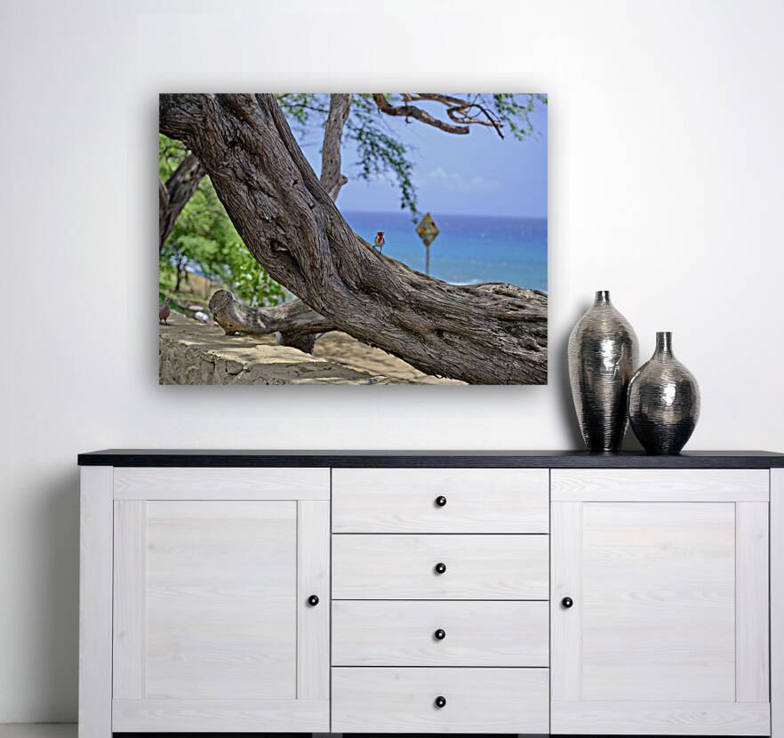 Hawaii Cardinal II Reproduction