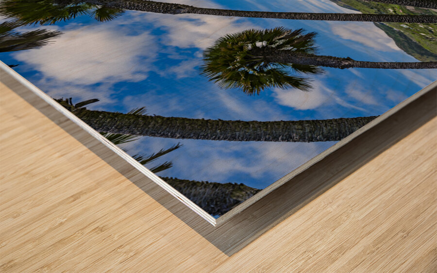 Beach Pier Wood print