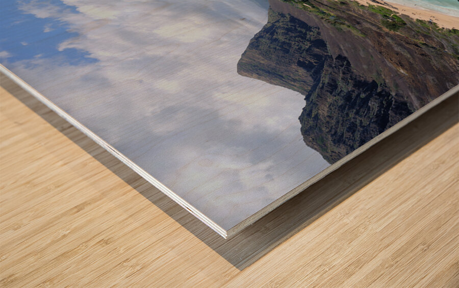 Hawaii Beach Wood print