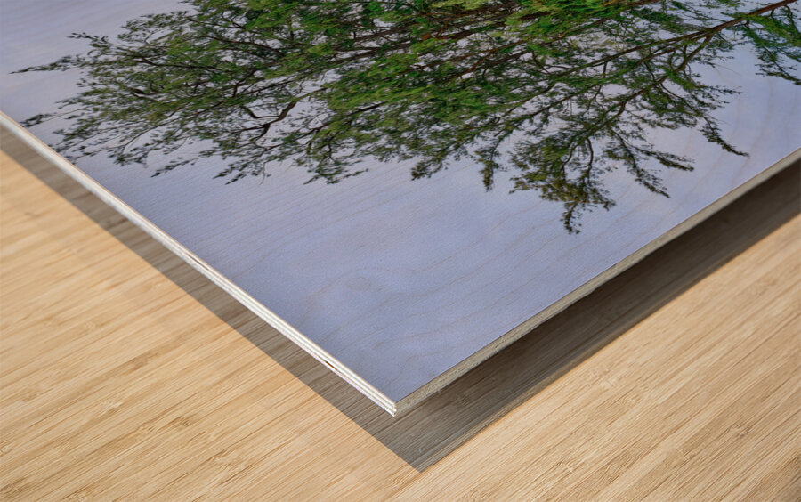 Hawaii Trees 3 Wood print