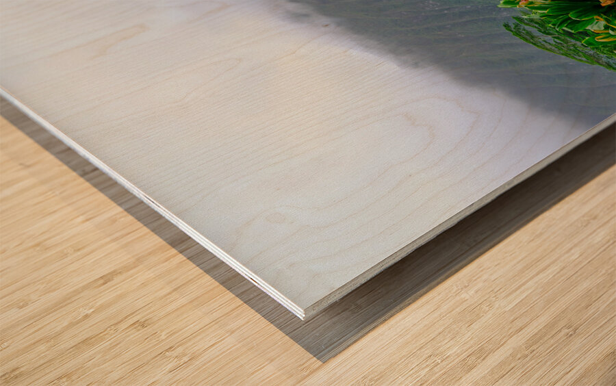 Hawaii Fog Wood print