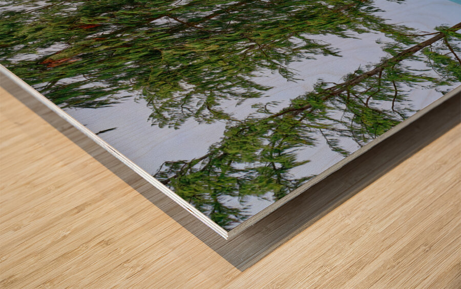 Hawaii Trees 2 Wood print