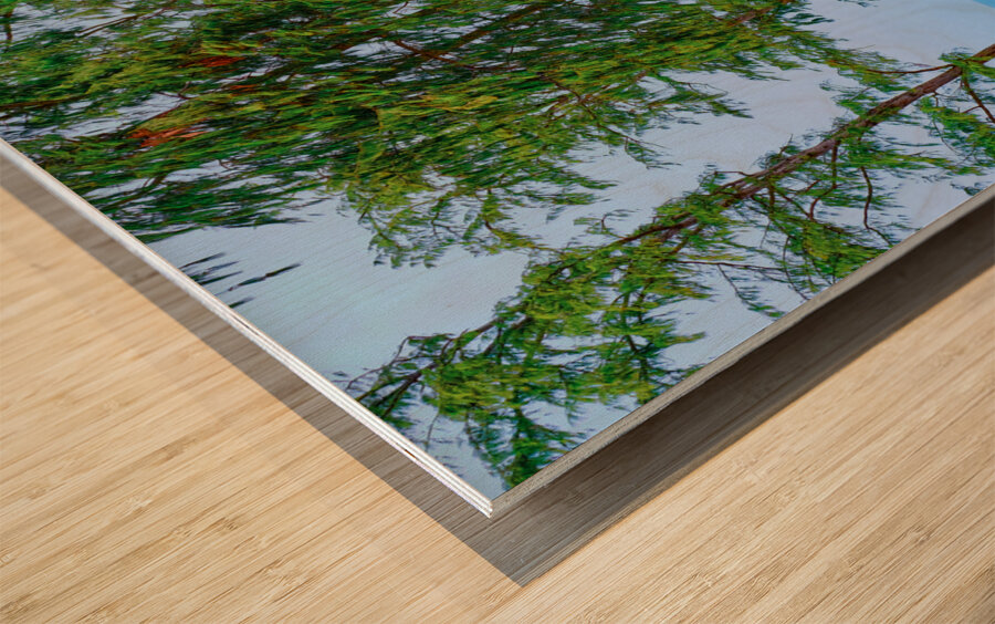 Hawaii Trees Wood print