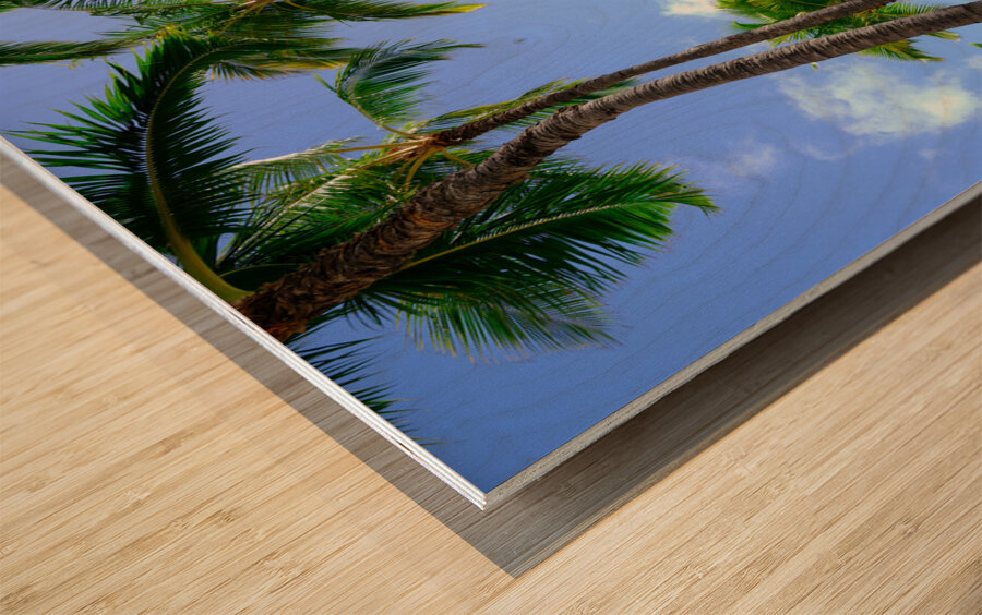 Hawaii Palms Beach 2 Wood print