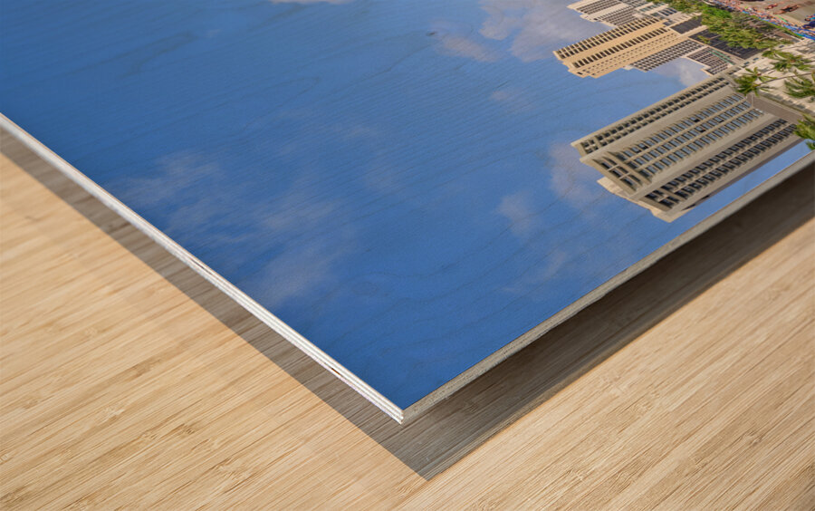 Hawaii Beach Diamond Head Wood print