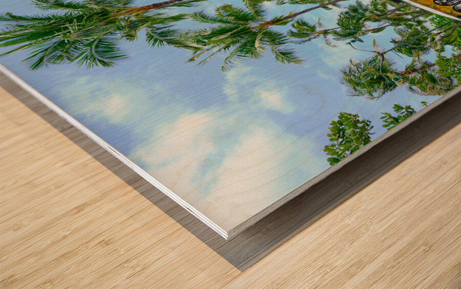 Hawaii Trolly 2 Wood print