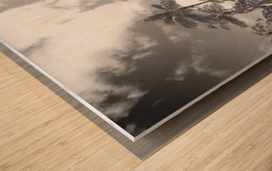 Hawaii Palms BW Wood print
