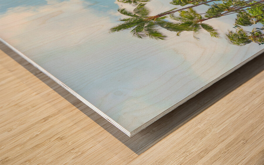 Hawaii Trolley Wood print