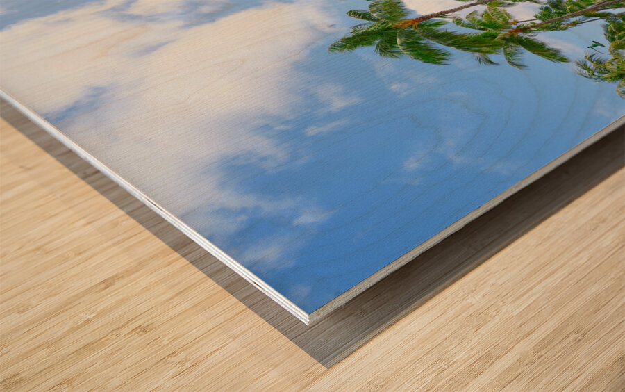 Hawaii Palms Wood print
