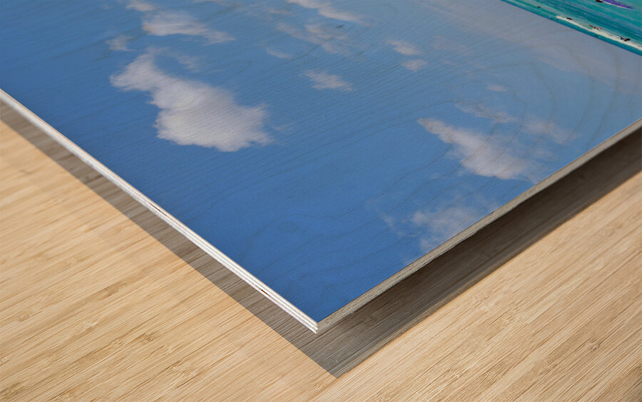 Hawaii Ocean Wood print