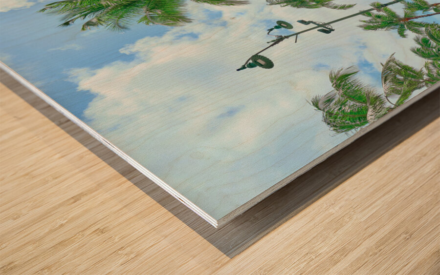 Hawaii Palms Duke Statue Wood print