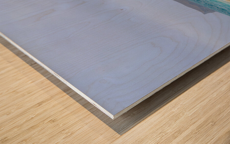 Hawaii Sand Beach 2 Wood print