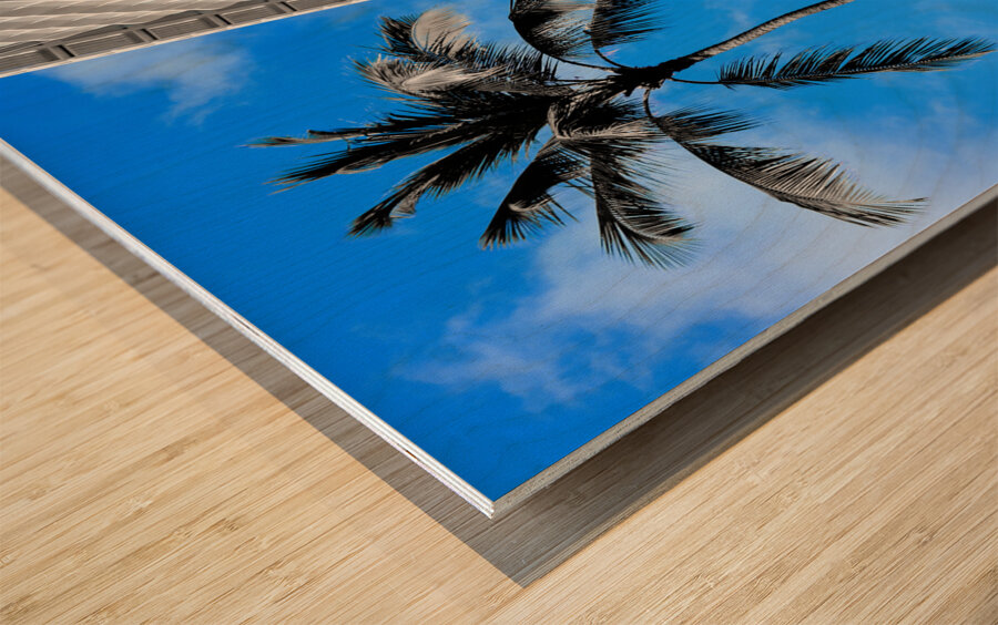 Hawaii Hotel Wood print