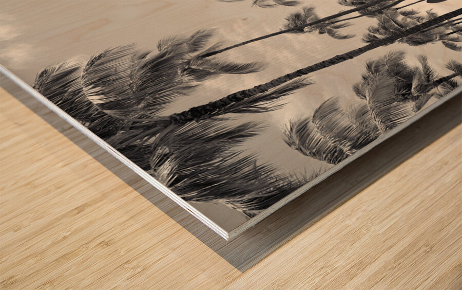 Hawaii Palms BW II Wood print