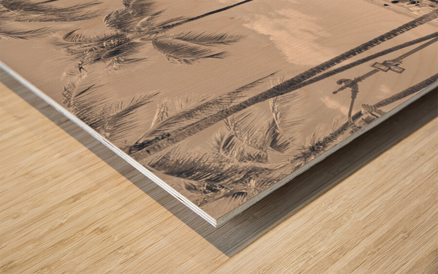 Hawaii Surfing III Wood print