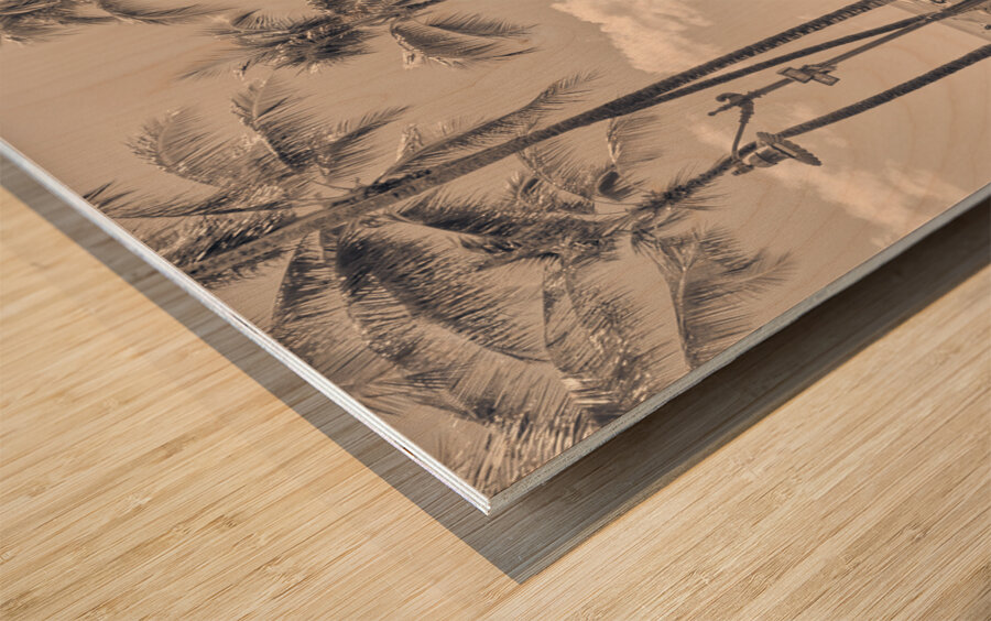 Hawaii Surfing IV Wood print