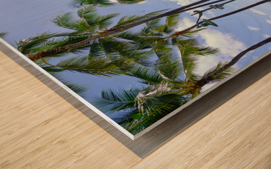 Hawaii Palms Surfboards Wood print
