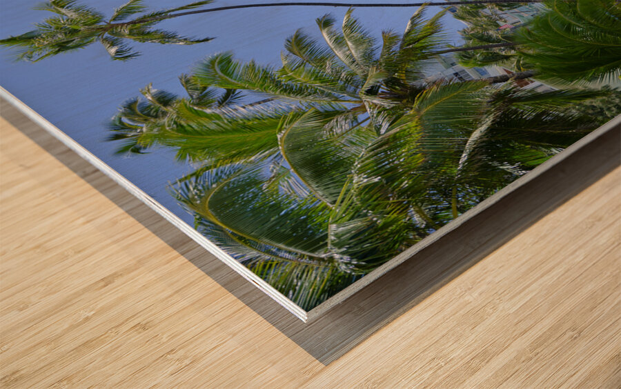Hawaii Blue Ocean Wood print