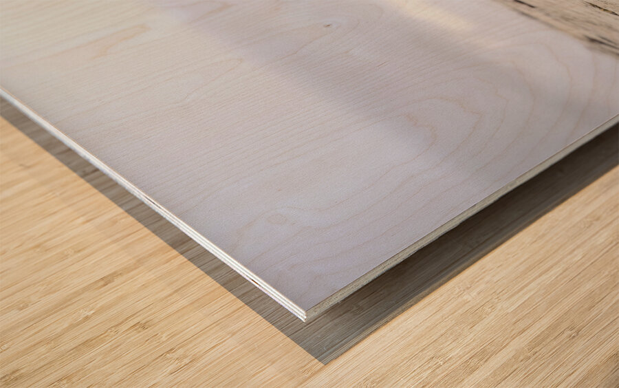 Beach Wood Wood print